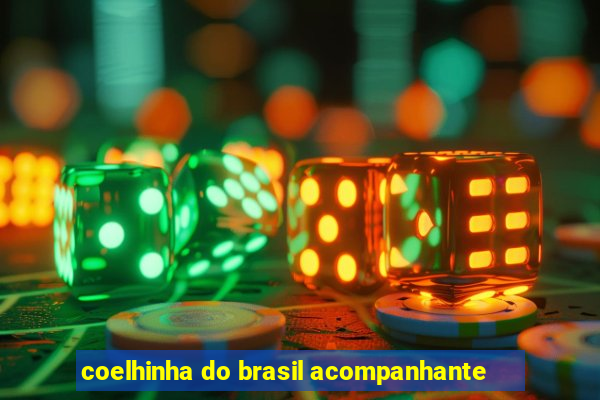 coelhinha do brasil acompanhante